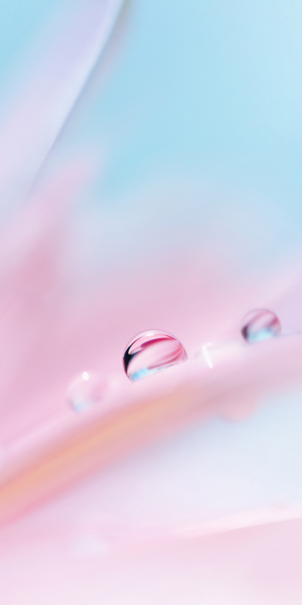 Huawei P20 Stock Wallpaper