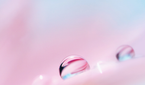 Huawei P20 Stock Wallpaper