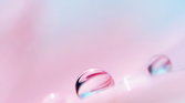 Huawei P20 Stock Wallpaper