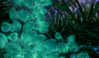 Huawei P20 Stock Wallpaper