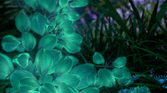 Huawei P20 Stock Wallpaper