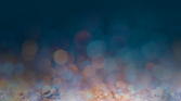 Huawei P20 Stock Wallpaper