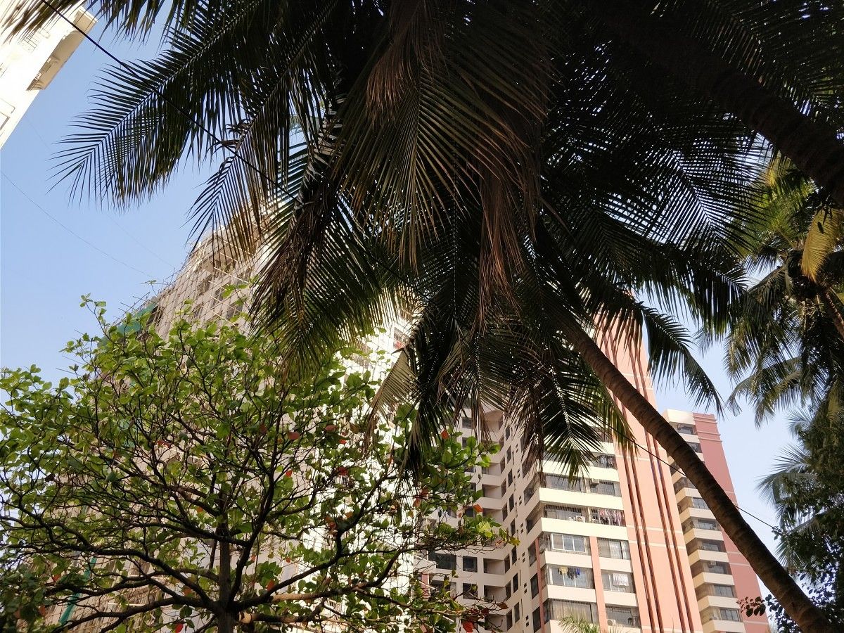 OnePlus 5T Camera Sample