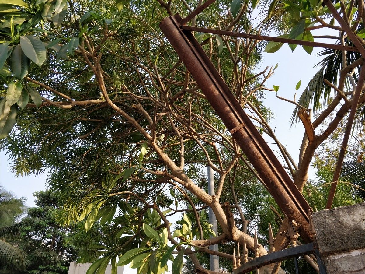 OnePlus 5T camera sample