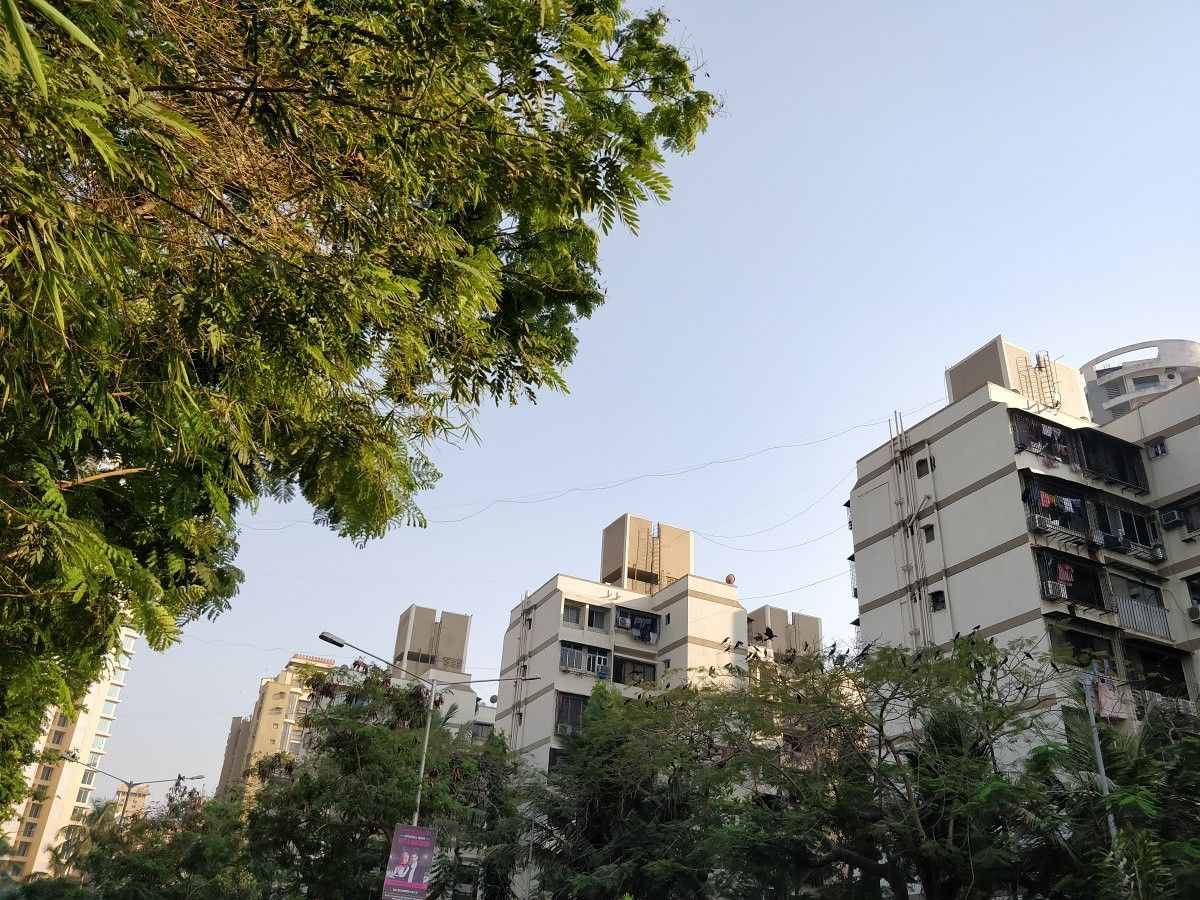 OnePlus 5T camera sample