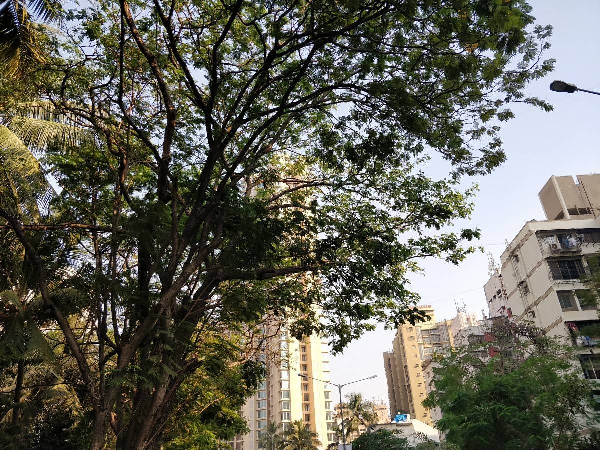 OnePlus 5T camera sample