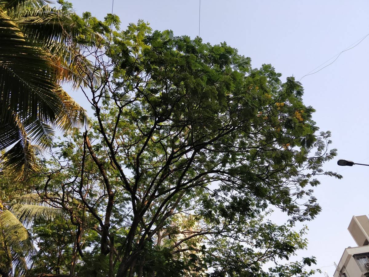 OnePlus 5T camera sample