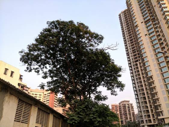OnePlus 5T camera sample