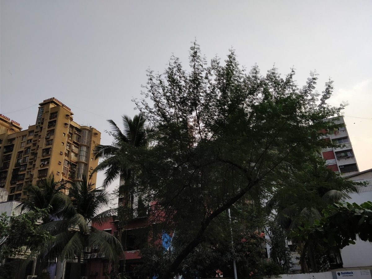 OnePlus 5T camera sample