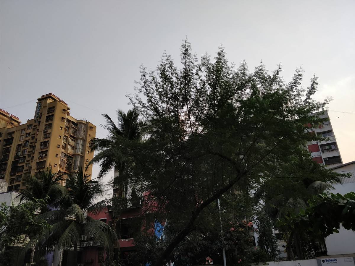 OnePlus 5T camera sample