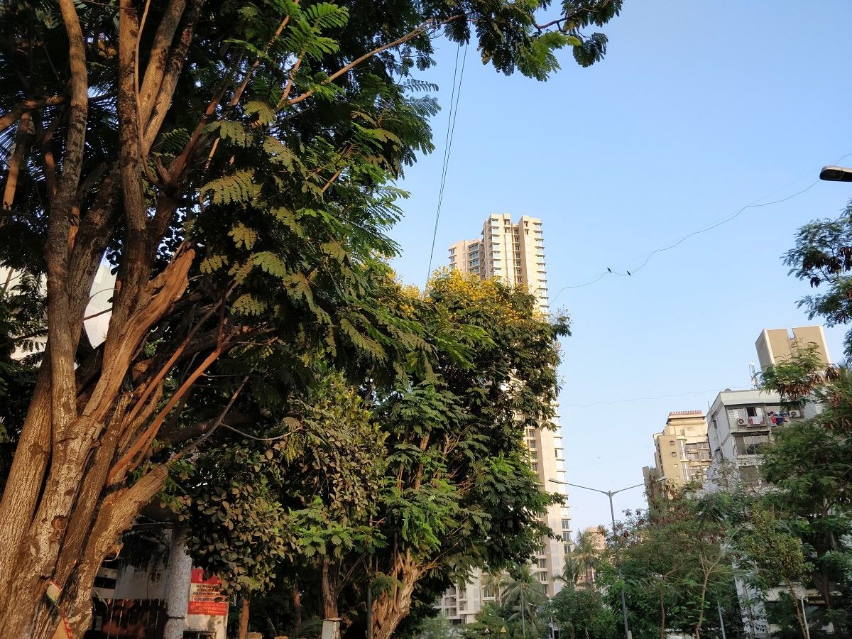 OnePlus 5T camera sample