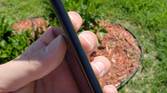 Sony Xperia XZ2