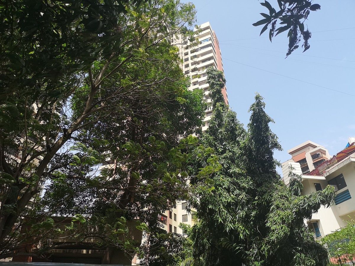 Huawei P20 Pro Camera Sample