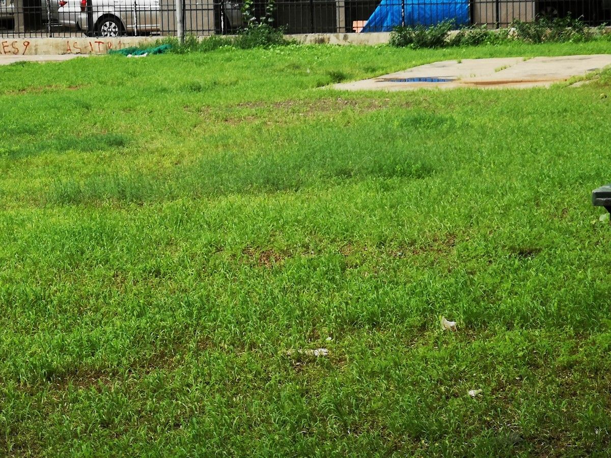 Huawei P20 Pro Camera Sample 5x Zoom