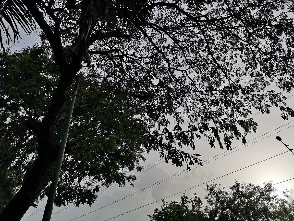 Huawei P20 Pro Daylight Camera Sample