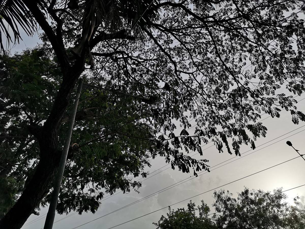 Huawei P20 Pro Daylight Camera Sample