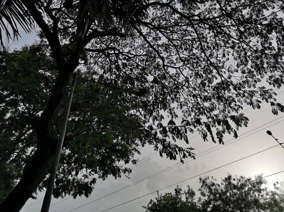 Huawei P20 Pro Daylight Camera Sample