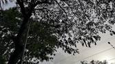 Huawei P20 Pro Daylight Camera Sample