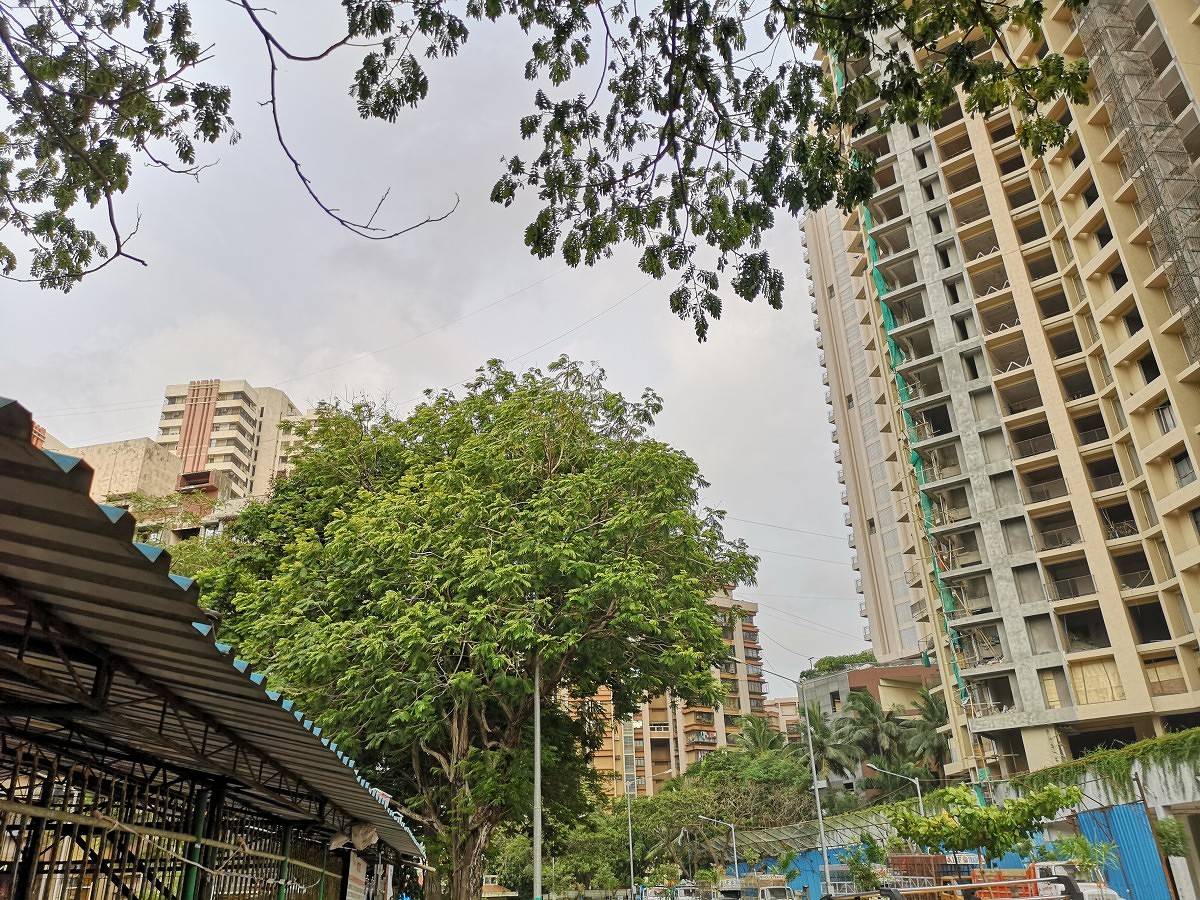 Huawei P20 Pro Daylight Camera Sample