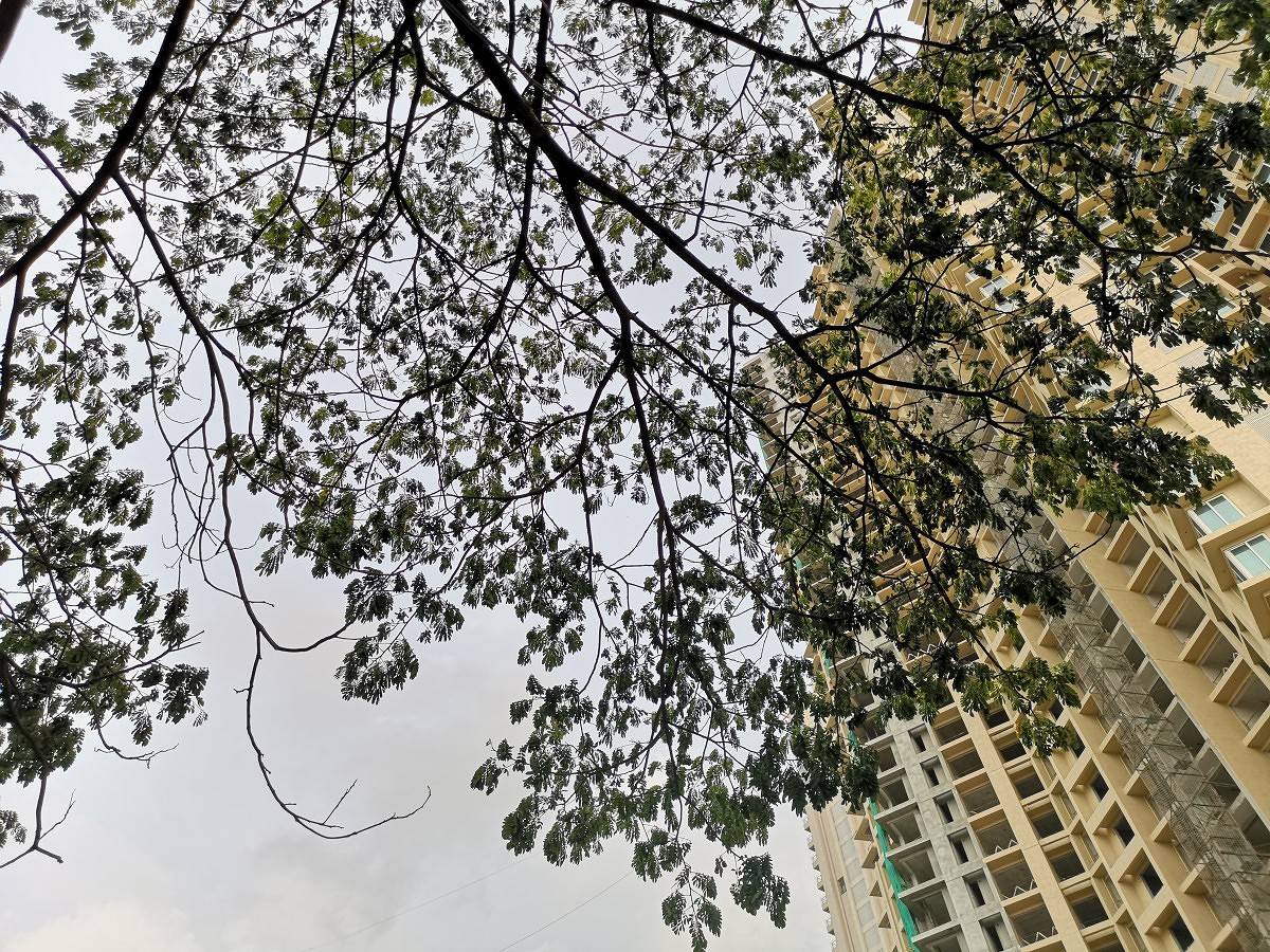 Huawei P20 Pro Daylight Camera Sample