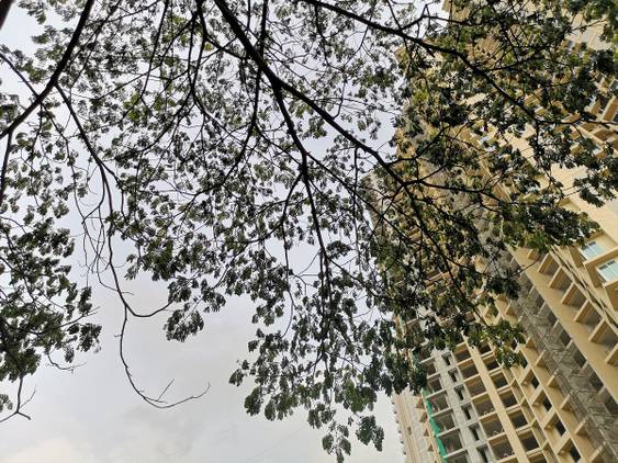 Huawei P20 Pro Daylight Camera Sample