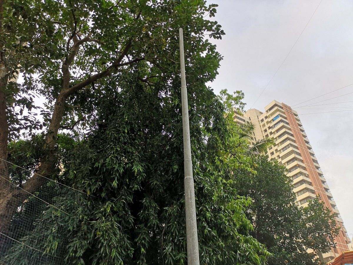 Huawei P20 Pro Daylight Camera Sample