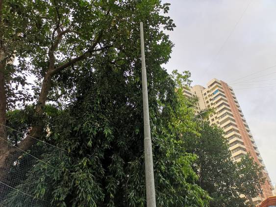 Huawei P20 Pro Daylight Camera Sample