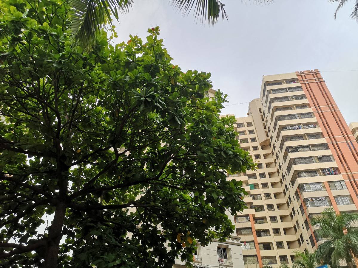 Huawei P20 Pro Daylight Camera Sample