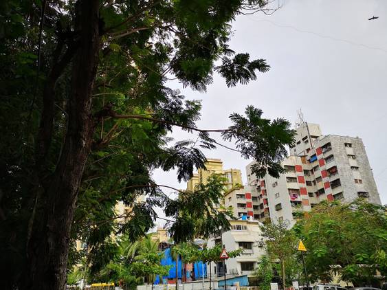 Huawei P20 Pro Daylight Camera Sample
