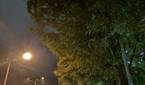 Huawei P20 Pro Low Light Camera Sample