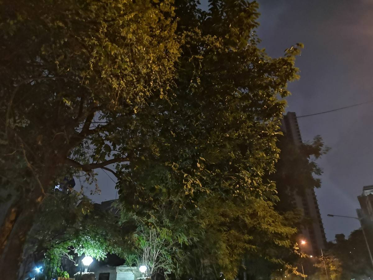 Huawei P20 Pro Low Light Camera Sample