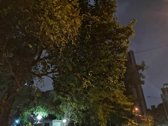 Huawei P20 Pro Low Light Camera Sample