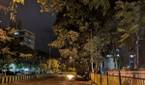 Huawei P20 Pro Low Light Camera Sample