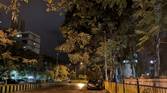 Huawei P20 Pro Low Light Camera Sample