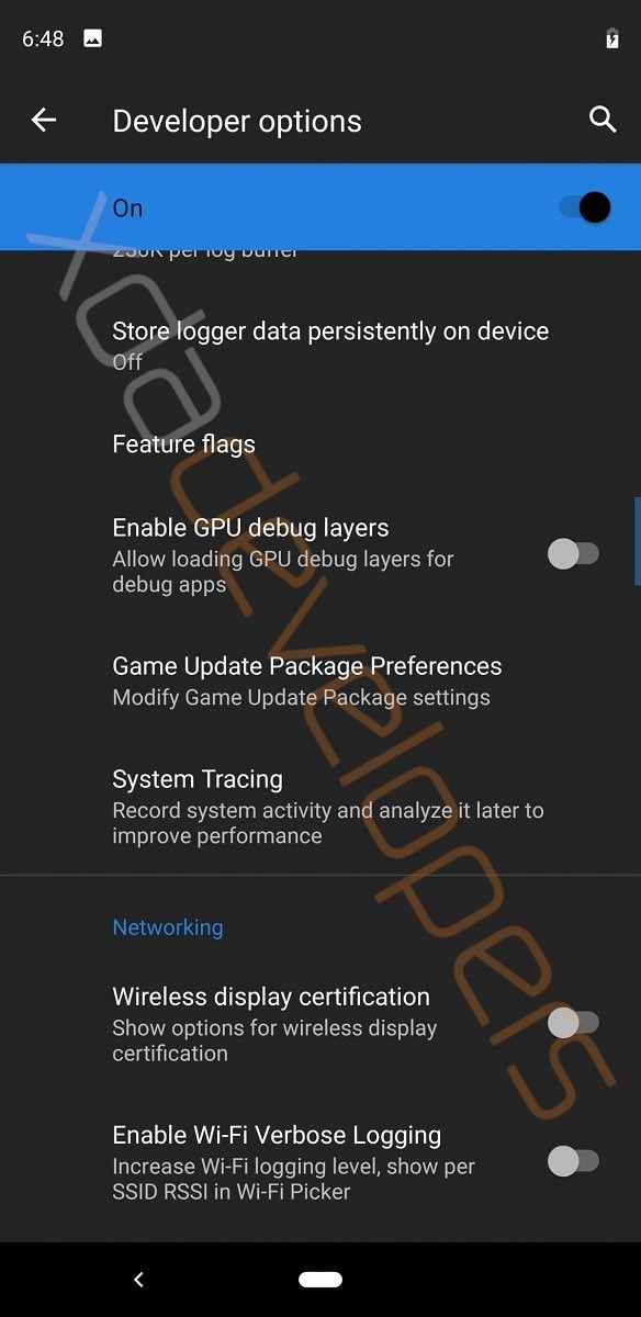 Android Q Developer Options