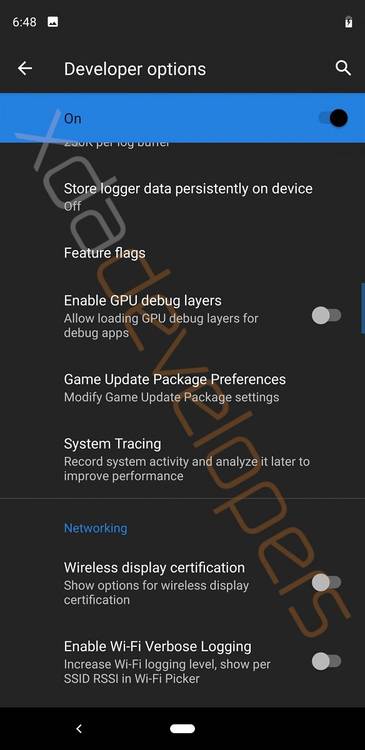 Android Q Developer Options