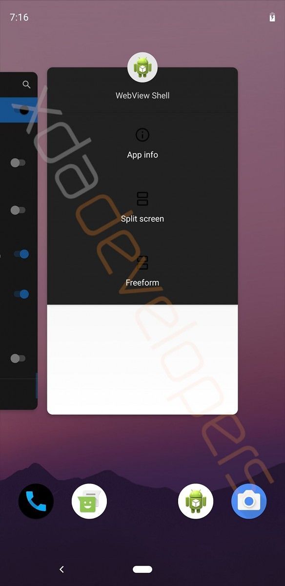 Android Q Developer Options