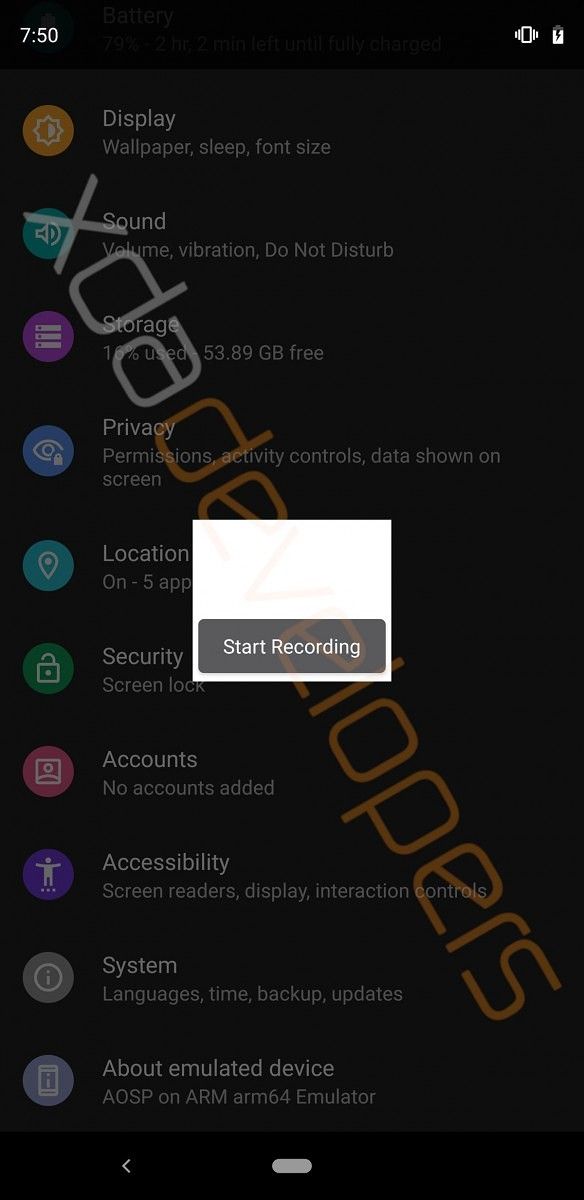 Android Q Developer Options