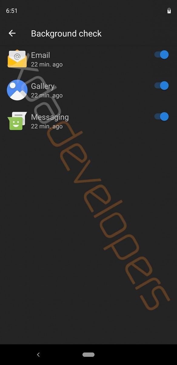 Android Q Developer Options