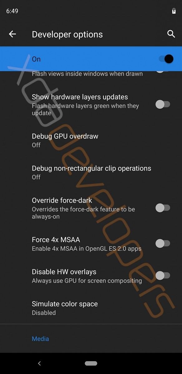 Android Q Developer Options