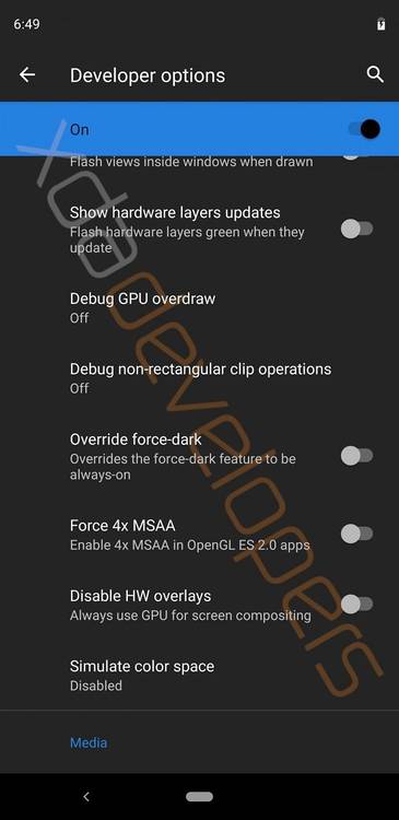 Android Q Developer Options