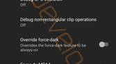 Android Q Developer Options