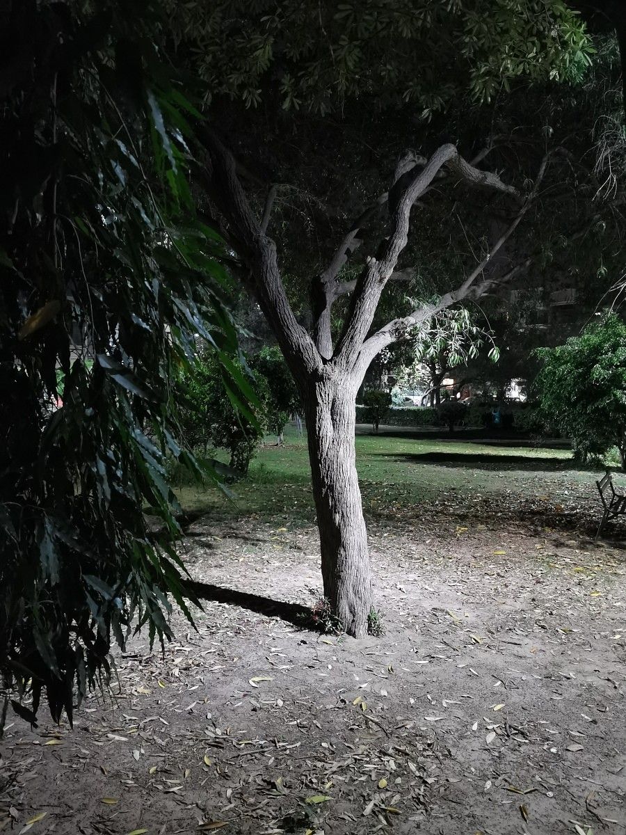 huawei P30 pro night mode