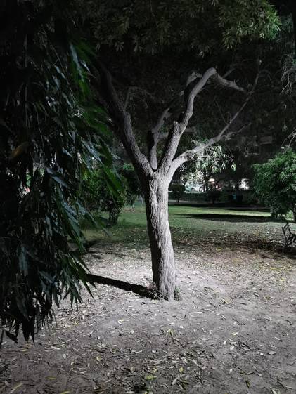 huawei P30 pro night mode