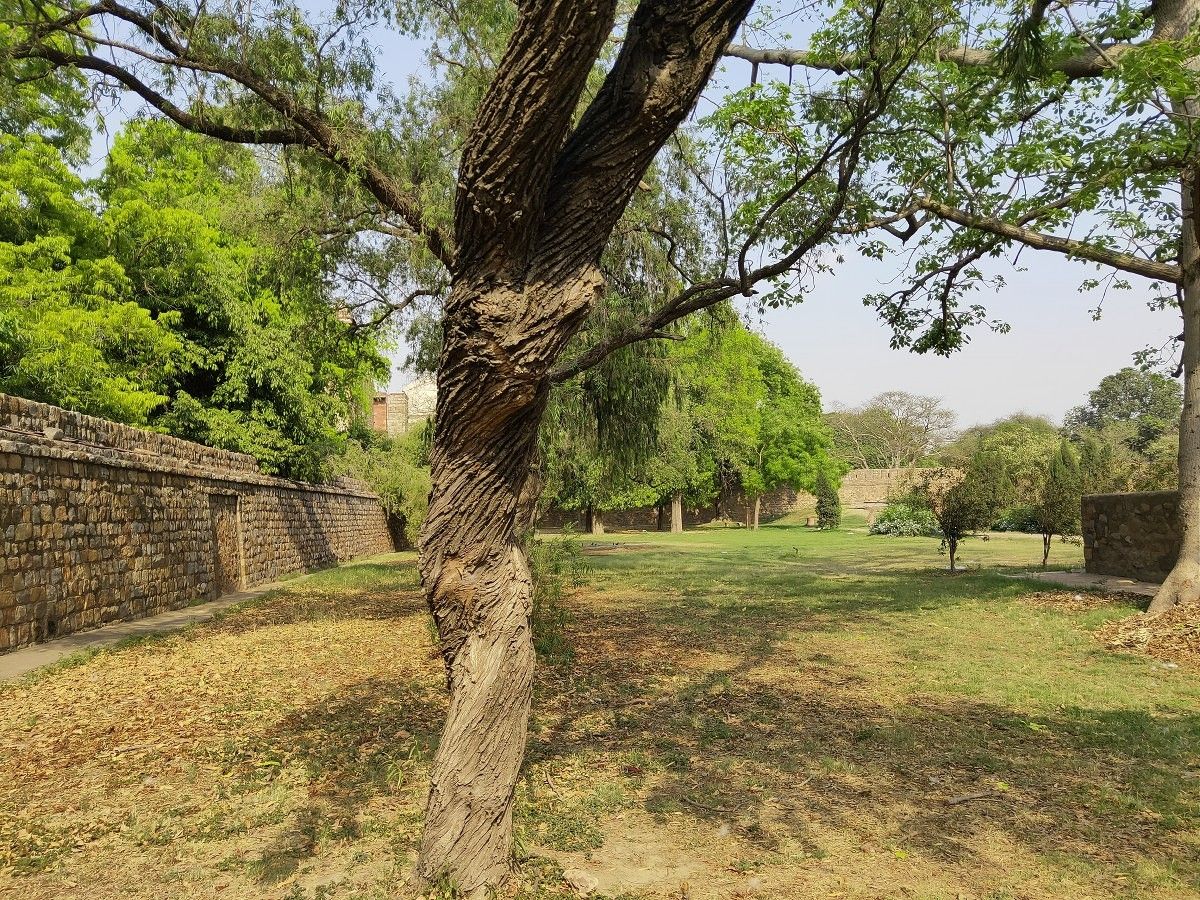 Realme 3 Pro camera