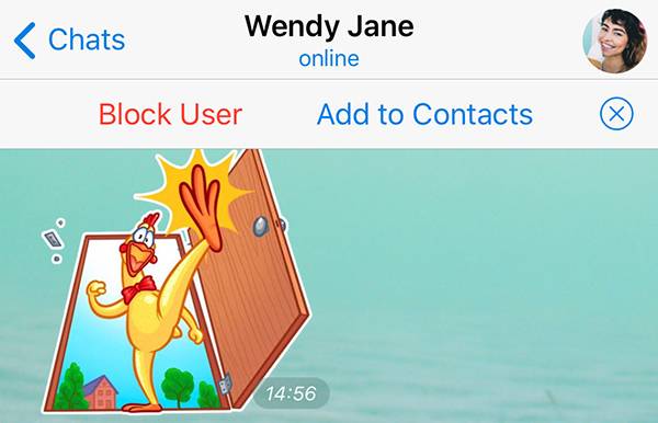 telegram new user privacy number