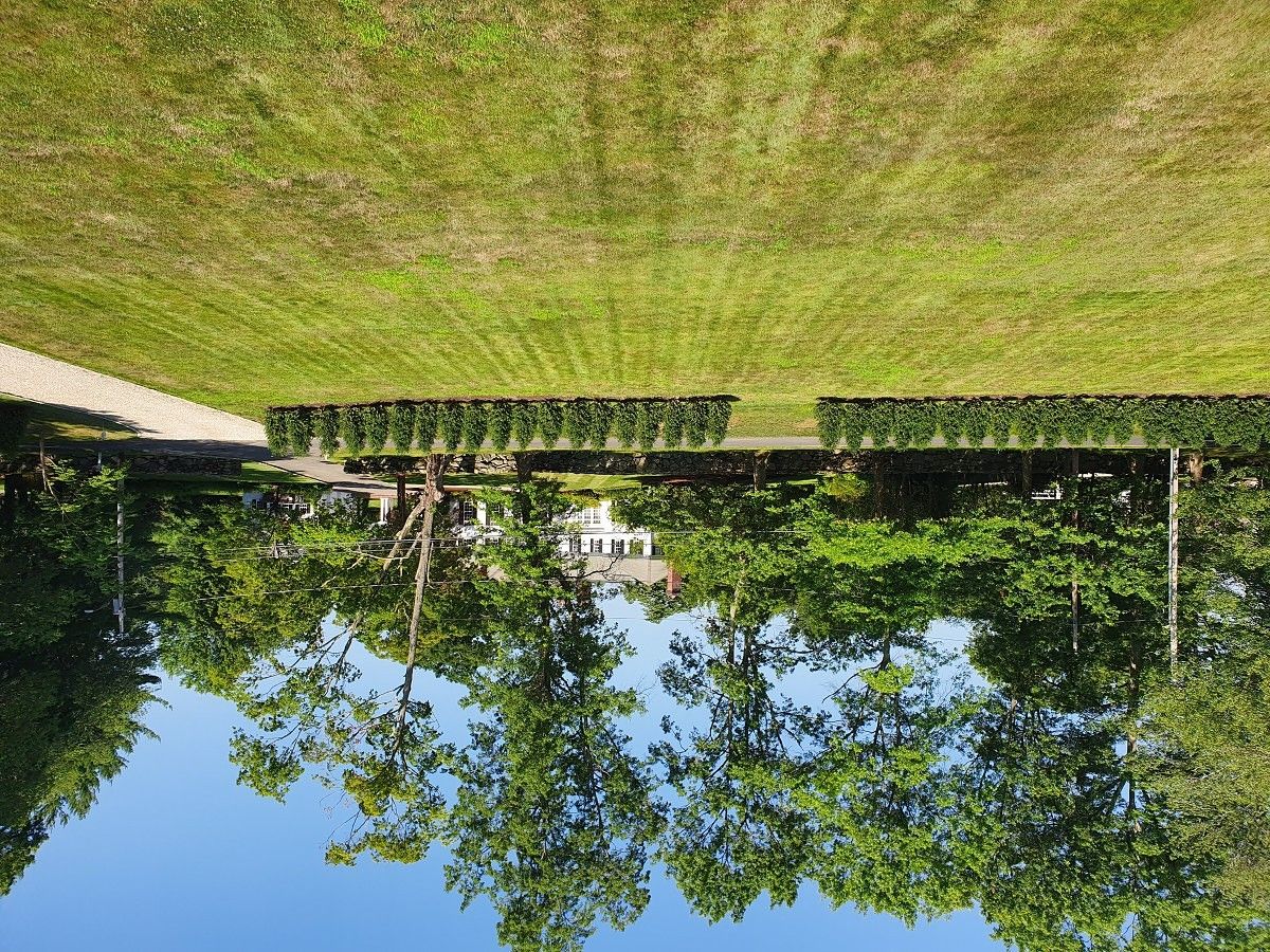 Samsung Galaxy S10 5G camera sample