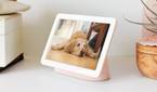 google home google nest hub