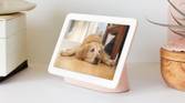 google home google nest hub