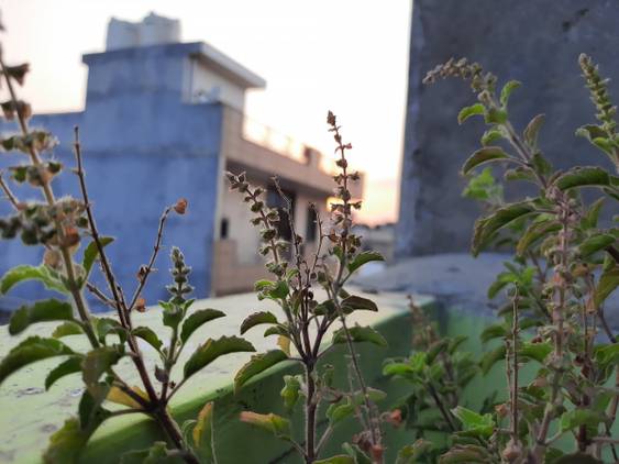 Samsung Galaxy A50s camera